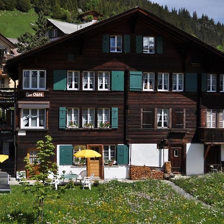 Studio Bim Chalet Bim Chilchli Мюррен Экстерьер фото